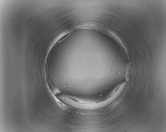 X0000063511434200602172134