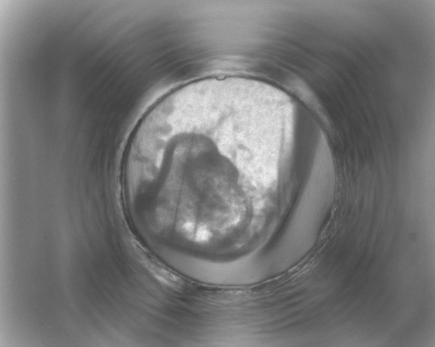 X0000063511435200602172134