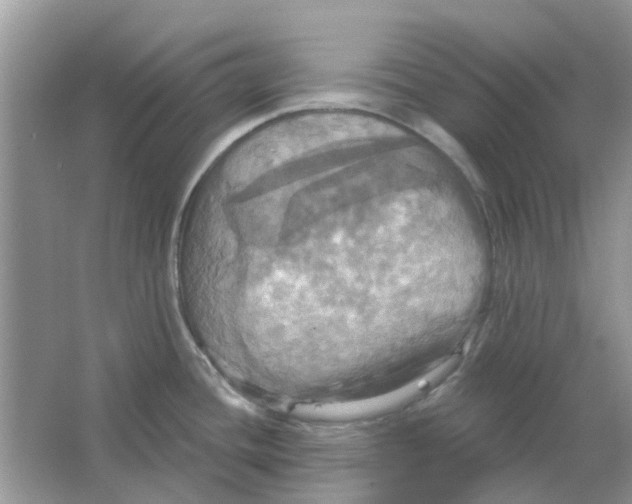 X0000063511436200602172134