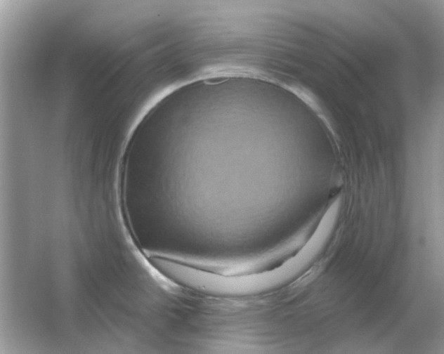 X0000063511438200602172134