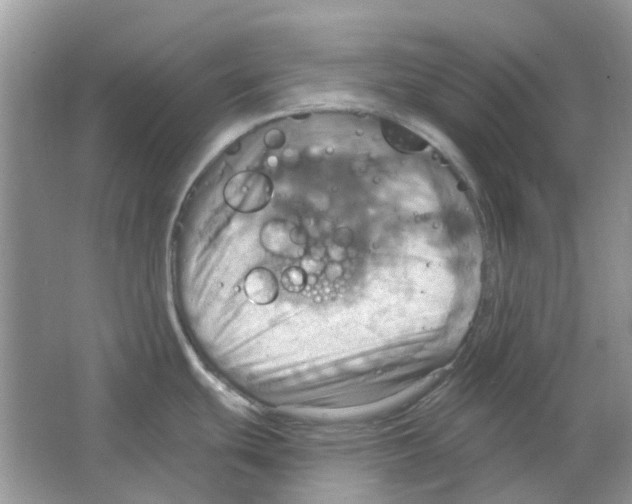 X0000063511439200602172134