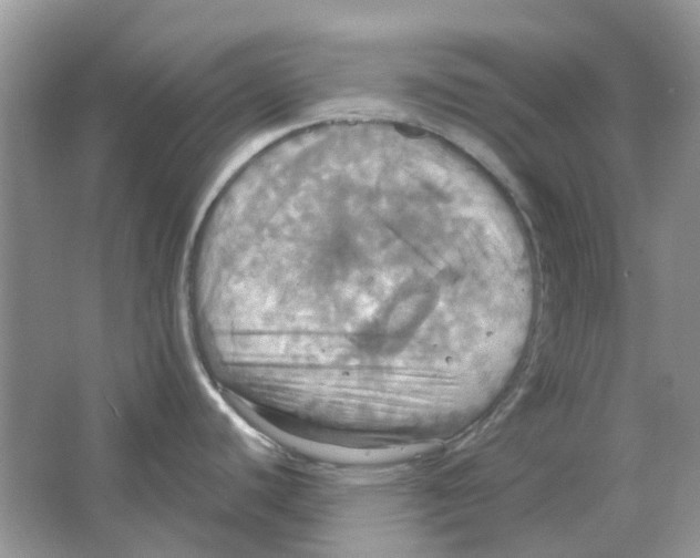 X0000063511440200602172134