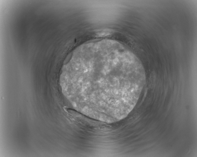 X0000063511441200602172133