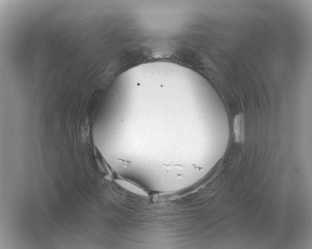 X0000063511443200602172133