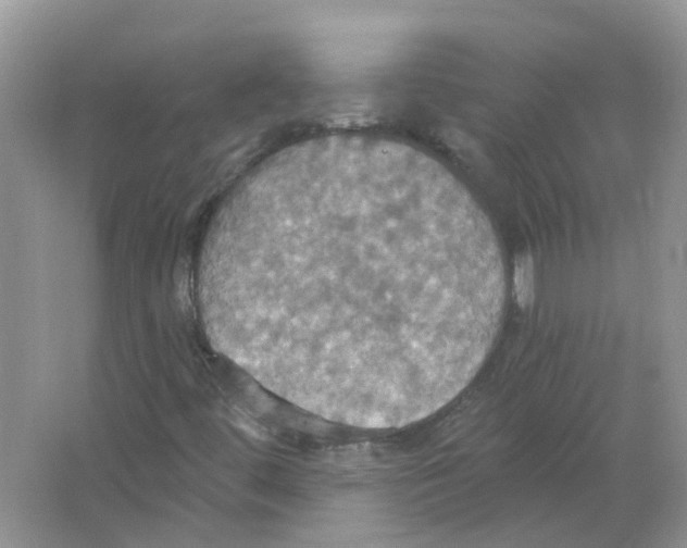 X0000063511444200602172133