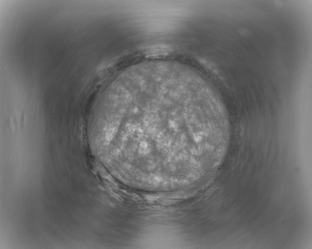 X0000063511445200602172133