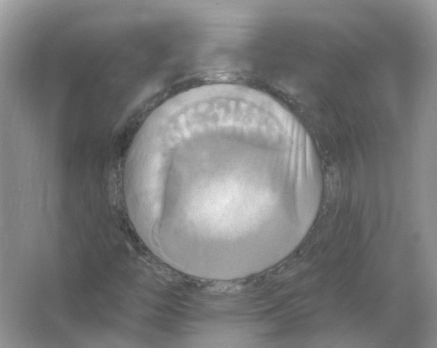 X0000063511446200602172133