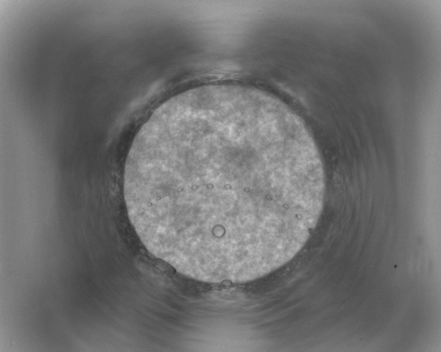 X0000063511447200602172133