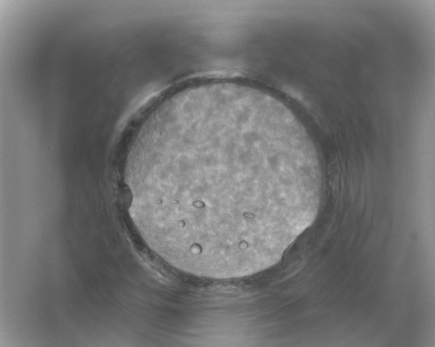 X0000063511448200602172133