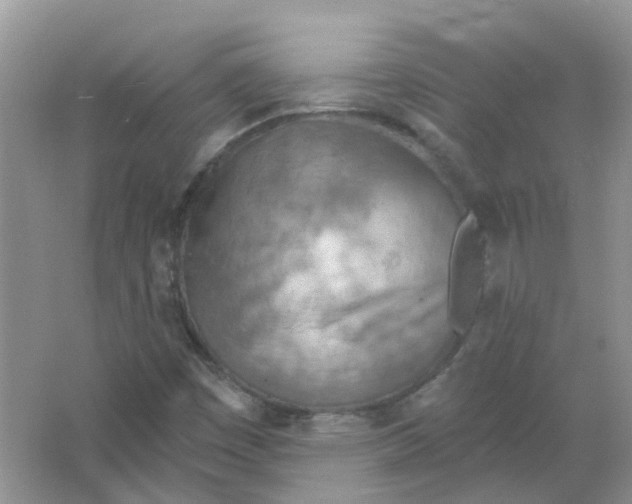 X0000063511449200602172133