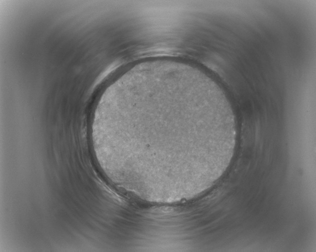 X0000063511450200602172133