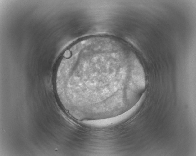 X0000063511452200602172133