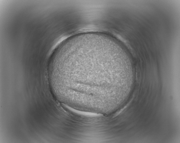 X0000063511453200602172133