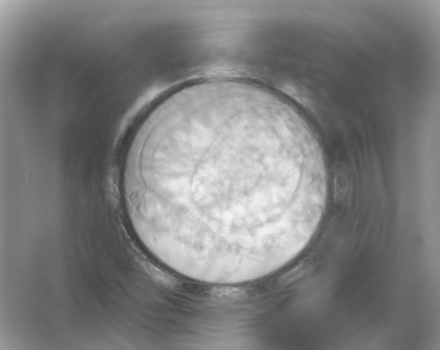 X0000063511454200602172133