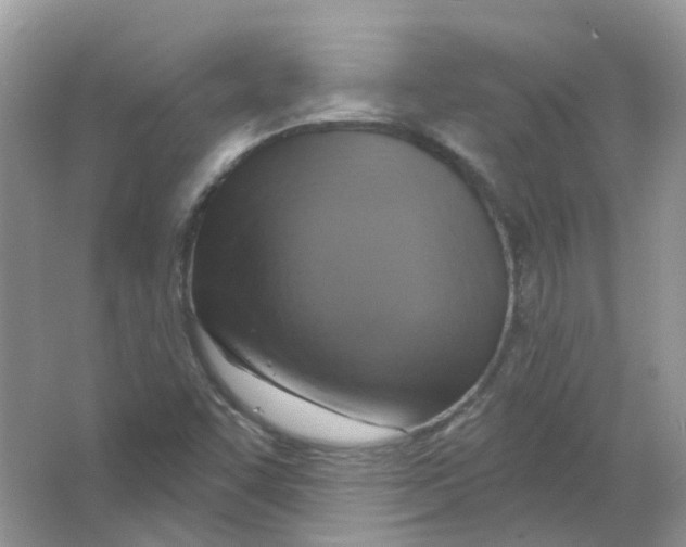 X0000063511455200602172133