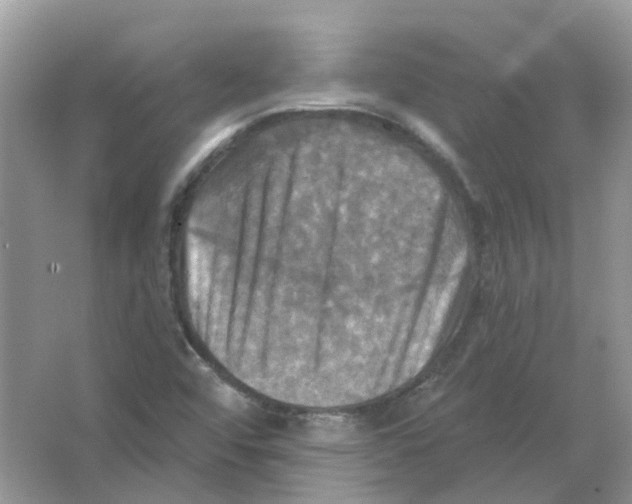 X0000063511456200602172133