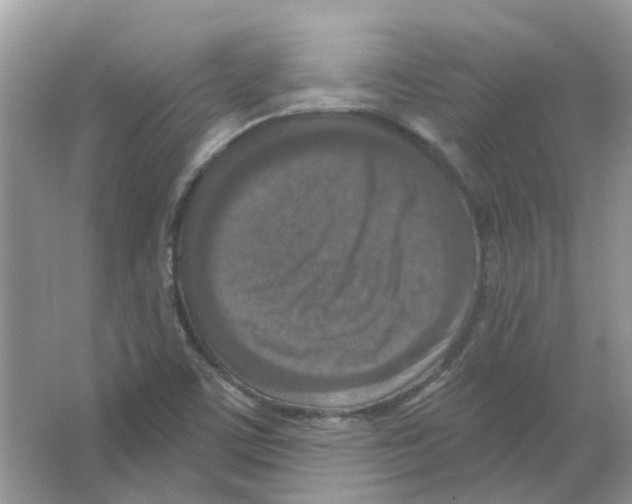 X0000063511459200602172133