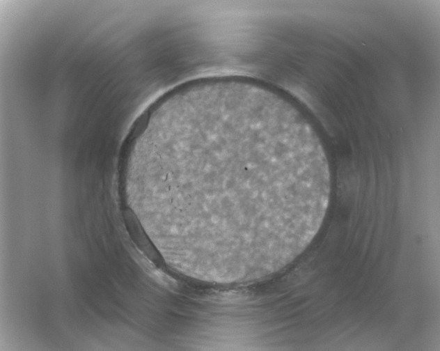 X0000063511460200602172133