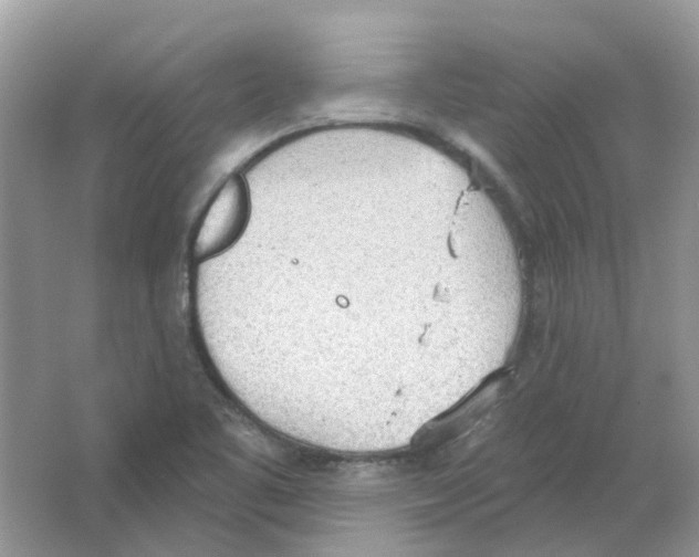 X0000063511461200602172133