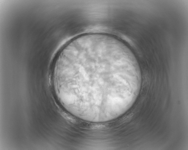 X0000063511462200602172133