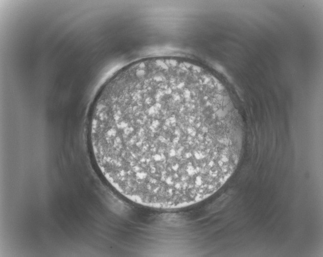 X0000063511463200602172133