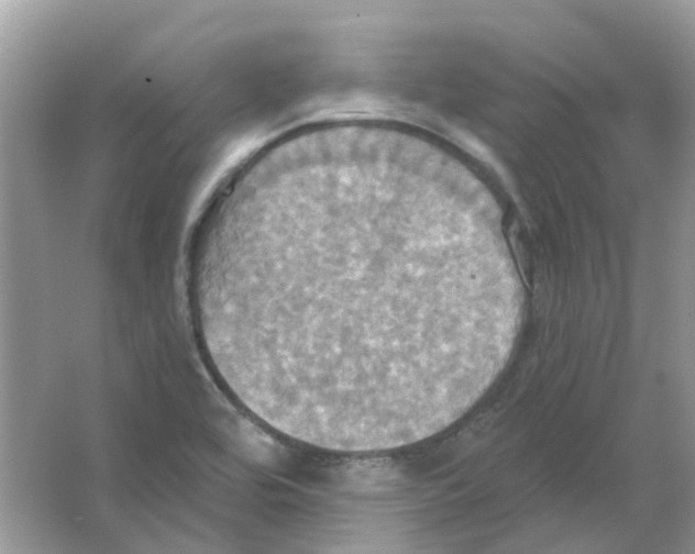 X0000063511464200602172133