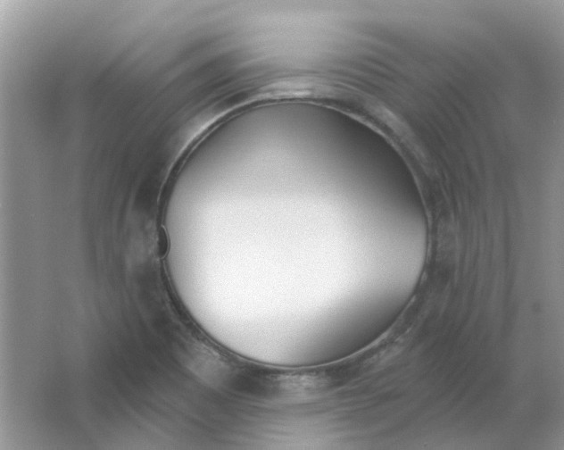 X0000063511465200602172133