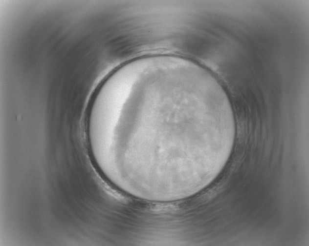 X0000063511466200602172133