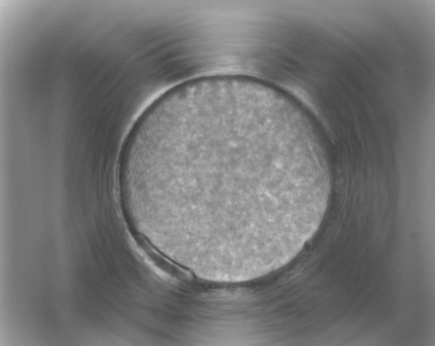 X0000063511468200602172133