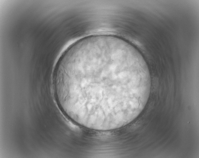 X0000063511470200602172133