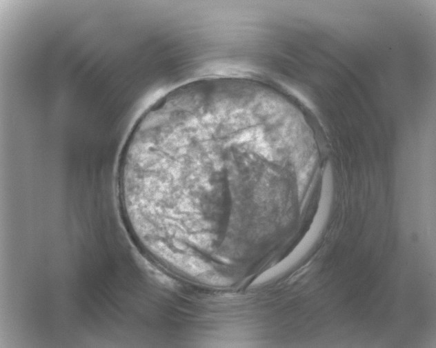 X0000063511471200602172133