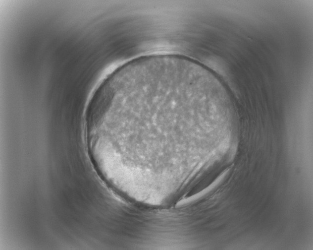 X0000063511472200602172133