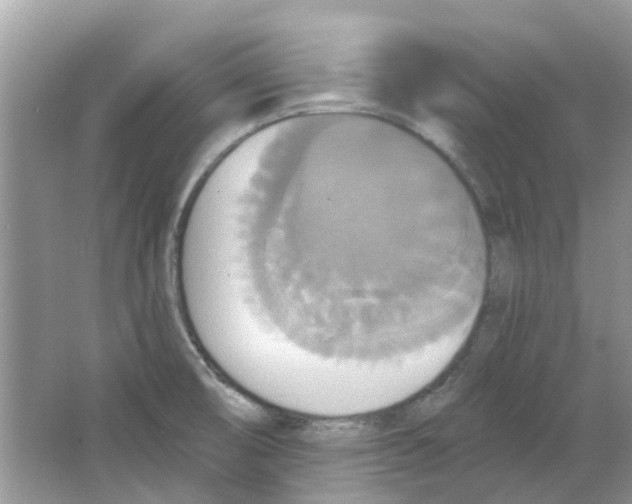 X0000063511474200602172132