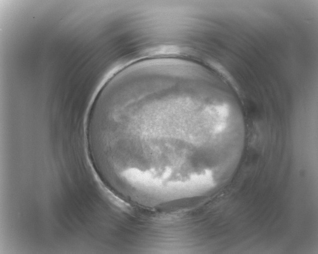 X0000063511475200602172132