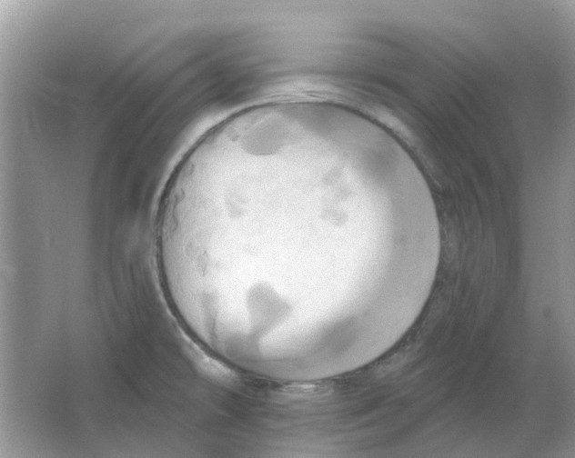 X0000063511478200602172132