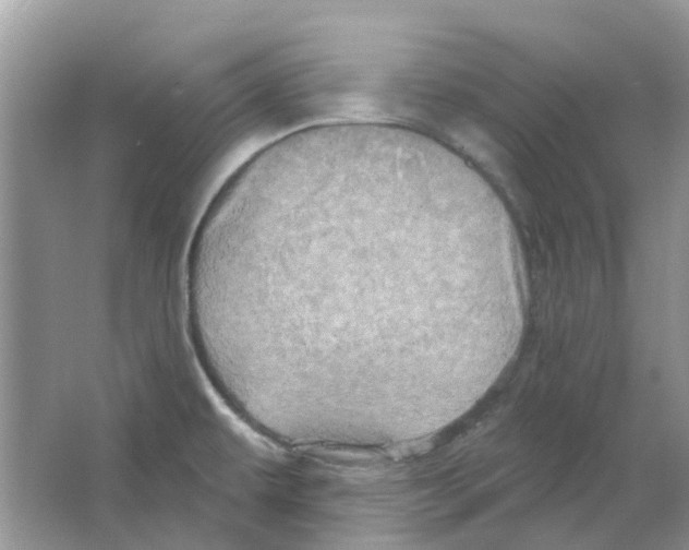 X0000063511479200602172132