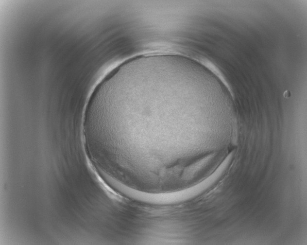 X0000063511485200602172132