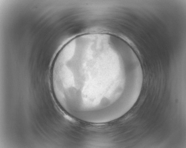 X0000063511486200602172132