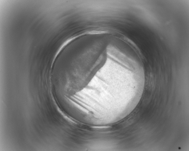 X0000063511487200602172132