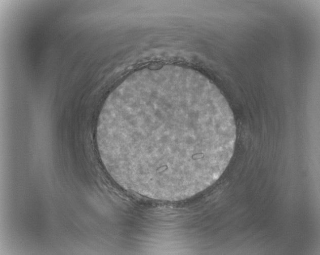 X0000063511489200602172131