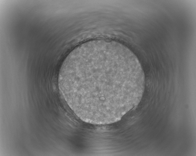 X0000063511490200602172131