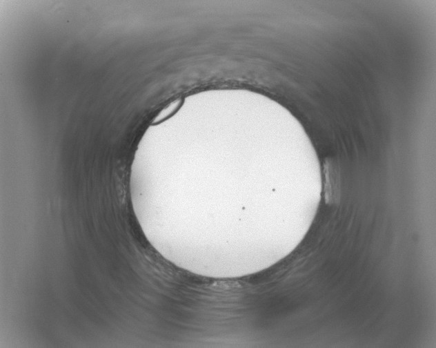 X0000063511491200602172131