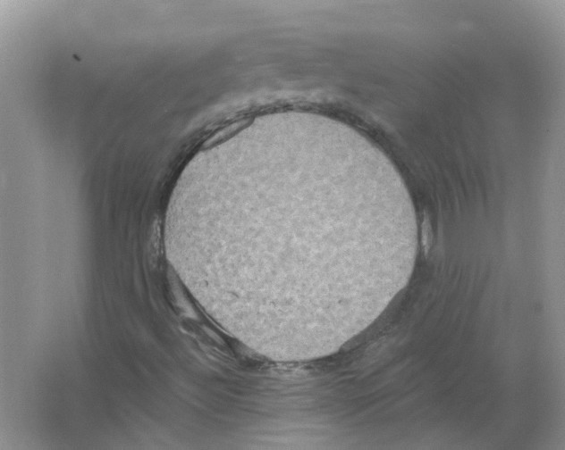 X0000063511492200602172131