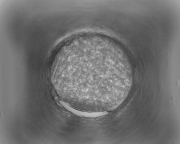 X0000063511494200602172131