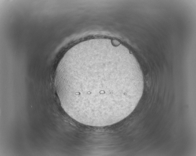 X0000063511495200602172131