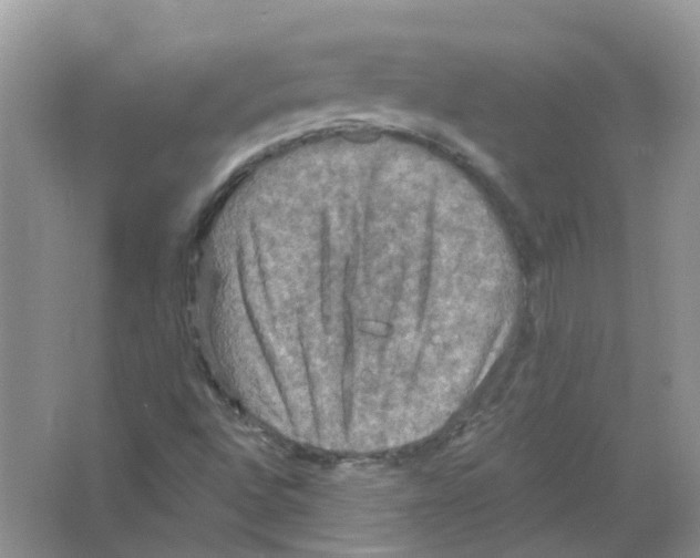 X0000063511496200602172132