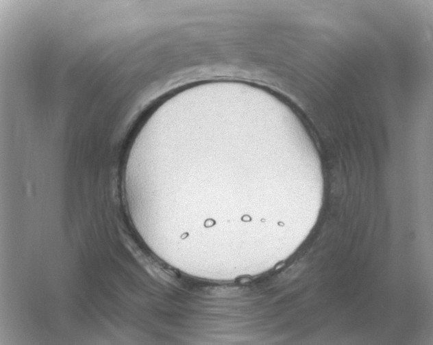 X0000063511499200602172132