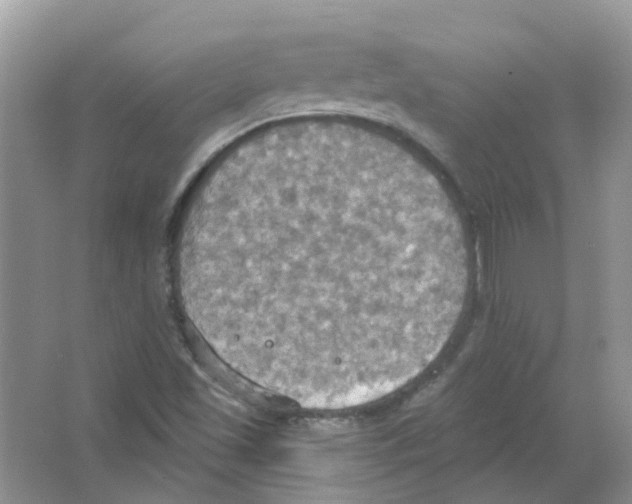 X0000063511501200602172132