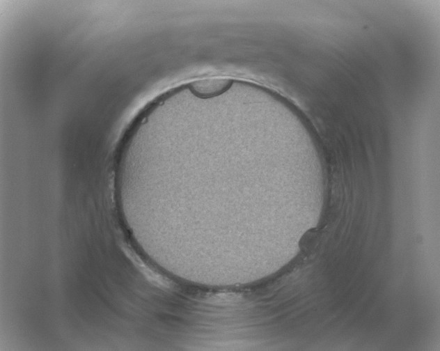 X0000063511503200602172132