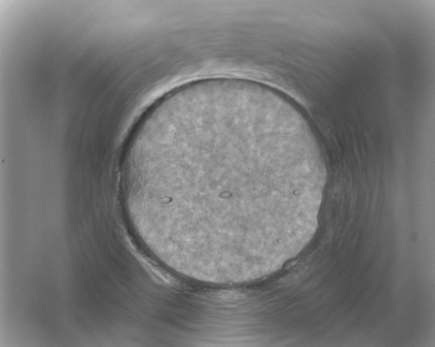 X0000063511507200602172132